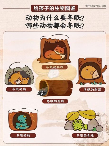 什么动物会冬眠，哪些动物能进入冬眠状态？