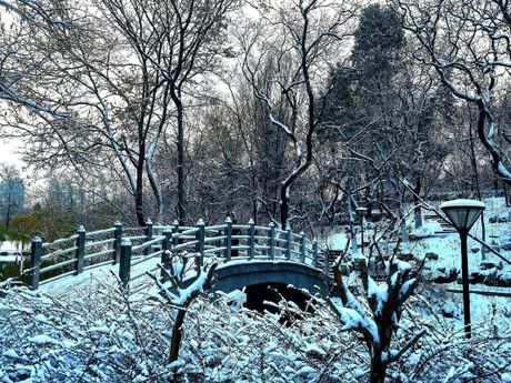 石家庄大雪：北方冬季壮丽景观