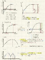 光合作用的意义：生命得以延续